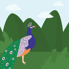 Poster - peacock at jungle landscape vector design