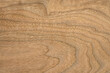 © MarekPhotoDesign.com - background and texture of wood veneer - walnut tree