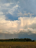Fototapeta Tęcza - field and sky