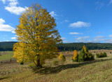 Fototapeta Las - autumn in Sumava, Sumava National Park, Czechia
