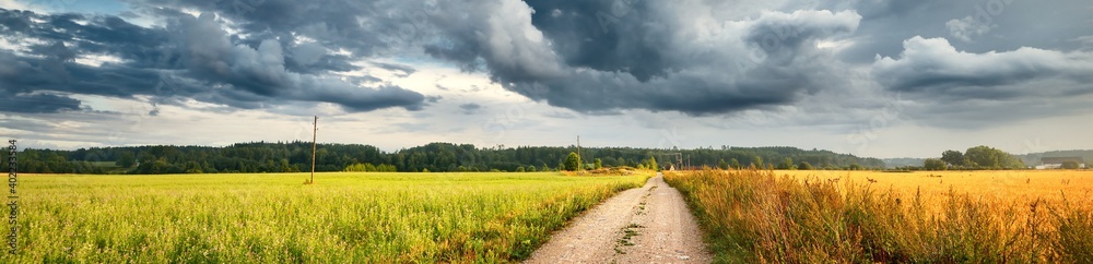 A dirt road through the agricultural field and forest under cumulus clouds after the rain, golden sunlight. Dramatic cloudscape. Idyllic rural landscape. Picturesque panoramic scenery - obrazy, fototapety, plakaty 