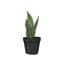 Plant In A Flower Pot Isolated On A White Background Hand Drawn Illustration	