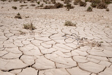 Dry And Cracked Ground With Dry Vegetation In The Desert; Concept For Climate Change And Ecological Disaster.