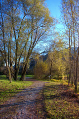 Wall Mural - Herbststimmung in Balzers in Liechtenstein 17.11.2020