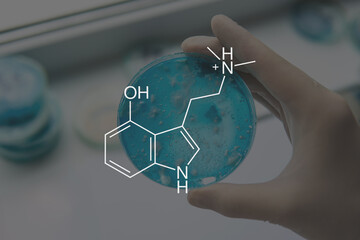 psilocin mushrooms formula. Legalization Medical psychedelic. Psychoactive natural drug.