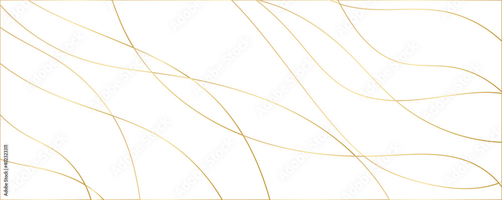 Modern abstract light gold white silver background vector. Elegant concept design with golden line.  - obrazy, fototapety, plakaty 