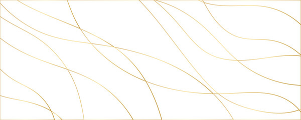 Modern abstract light gold white silver background vector. Elegant concept design with golden line. 