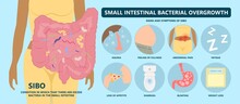 Intestine Bacteria Gut Pain Eating IBS Large Fungal Fungi Tract H. Pylori C. Diff Cancer Gas Colon Rectal Vomiting Spastic Mucous Colitis Viral Acid Level Celiac  Crohn's Abdomen Yeast System Germs