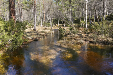 Sticker - Spring flood