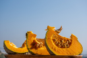 Side view of three slices of a freshly cut pumpkin. Raw vegetable inner and seeds are visible. Fruits are in line standing against blue sky. food background with copy space