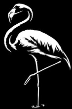 Black And White Linear Paint Draw Flamingo Illustration Art