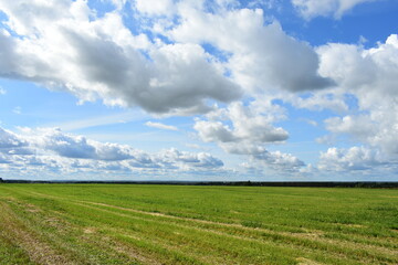 field and blue sky