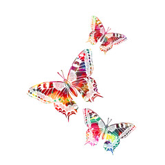 Wall Mural - The abstract butterfly is multicolored. Vector illustration