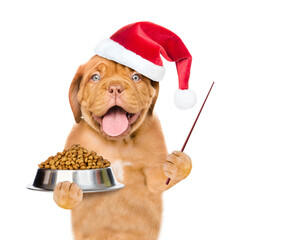 Poster - Smiling puppy wearing red santa hat holds bowl of dry dog food and points away on empty space. isolated on white background