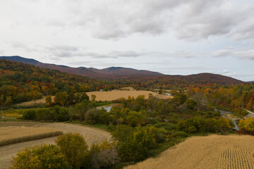 Wall Mural - Corn Field - Vermont