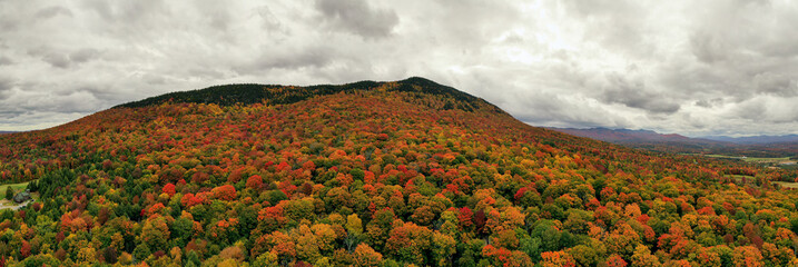 Wall Mural - Peak Foliage - Vermont