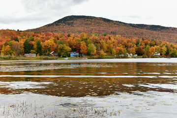 Sticker - Lake Elmore - Vermont