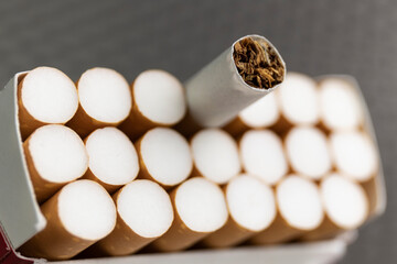 Wall Mural - Cigarette close-up. Quitting smoking is the single easiest way to avoid heart disease.