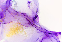 Abstract Purple Stains On White Background. Violet And Gold Watercolor Ink Pattern.