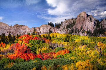 Tree leaves changing color in the Fall in the Rocky Mountains of Colorado. The sky is blue with a few clouds. There are lots of Aspen Trees with yellow and orange leaves. 