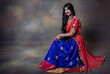Indian girl portrait in saree for lights festival Diwali