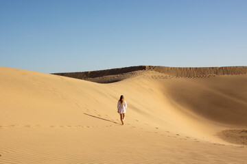 Wall Mural - sand dunes in the desert