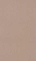 Poster - brown recycle paper texture abstract background vertical