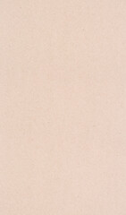 Poster - brown recycle paper texture abstract background vertical