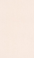 Poster - brown recycle paper texture abstract background vertical