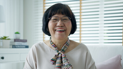 Head shot portrait happy healthy middle aged asian woman with eyeglasses sitting on sofa at home. Old lady laughing, smiling and looking at video camera in living room. Screen video call shot.