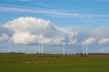 Wall Mural - Windräder in Mecklenburg-Vorpommern	