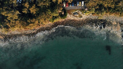 Wall Mural - Drone photo of turquoise ocean water next to a beach side car park with vehicles parked next to trees