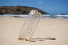 A Discarded Single Use Plastic Drinks Bottle Washed Up On A Golden Sands Beach