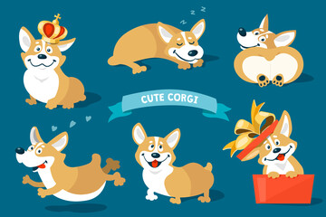  Cute welsh corgi dogs and puppies set. Vector cartoon kawaii stickers