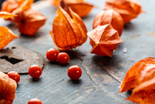Red Cape Gooseberry. Berries Fruit. Physalis Or Chinese Lantern Plants On Old Kitchen Table