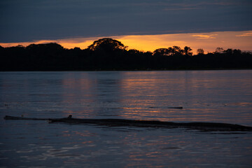 Wall Mural - sunset on the river