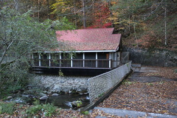 Wall Mural - Cabin