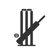 Cricket bat ball stump bails icon