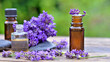 bottle of essential oil and  lavender flowers arranged on a wooden table in garden