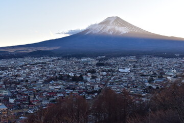 Canvas Print - 富士山