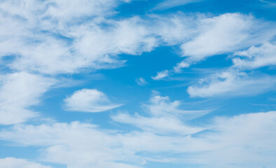 Canvas Print - Blue sky with soft white clouds in windy weather