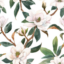 Beautiful Seamless Pattern With Hand Drawn Watercolor White Magnolia Flowers. Stock Illustration.