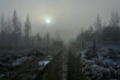 słońce za mgłą w leśnym zimowym krajobrazie