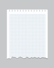 Poster - Torn notebook page. Realistic checkered sheet of paper with perforated and ragged edges. Isolated blank square notepad fragment for drawing or writing. Vector decorative grunge mockup with copy space