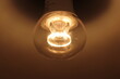 Close-up of light bulb with burning wire visible