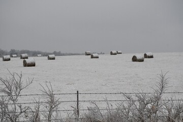 Poster - Hay Bales in a Snowy Field