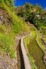 Wall Mural - Ifugao rice terraces on Luzon island, Philippines