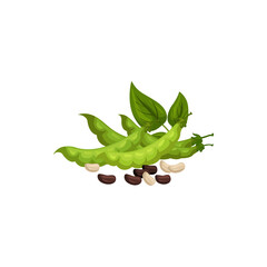 Kidney beans and soybeans isolated green pods and leaves. Vector raw plants, vegetarian food