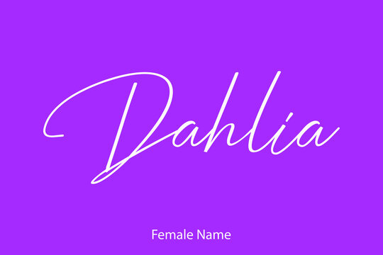 Dahlia Woman's Name. Typescript Handwritten Lettering Calligraphy Text on Purple Background