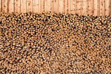 Short Chopped Spruce Firewood Stacked To Dry In Front Of An Equipment Stall